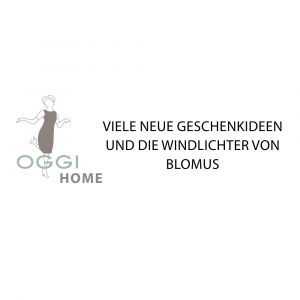 oggi home oggi home